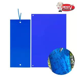 10매입 총채벌레 노린재 평판트랩 농업용 해충 나방 유충 축사파리 텃밭 양면트랩 페스트세븐 끈끈이 트랩