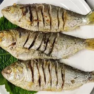 엘빈 국내산전어 냉동전어 1KG 생선구이