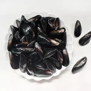 [남해촌놈들] 산지직송 국내산 홍합 2kg