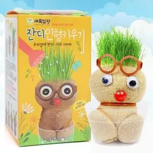 어린이 식물 키우기 식목일 선물 화분 반려 식물 키우기 실내 집들이선물 인테리어 사무실 가드닝 아이들