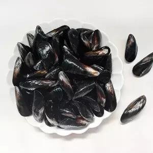 [신세계라이브쇼핑][남해촌놈들] 산지직송 국내산 홍합 2kg