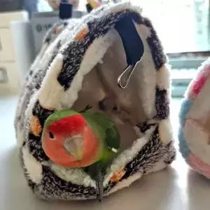 앵무새 포치 하트둥지 대