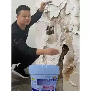 프리미엄 친환경 방수 곰팡이방지 라텍스 실내 벽 페인트 0.5kg 세트