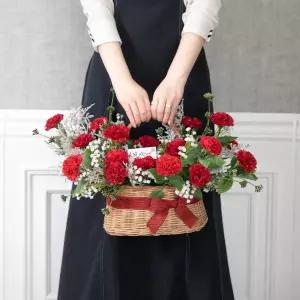 비누 카네이션 조화 바구니 프릴러브 ⅠAset 50cm 꽃 어버이날 스승의날 테이