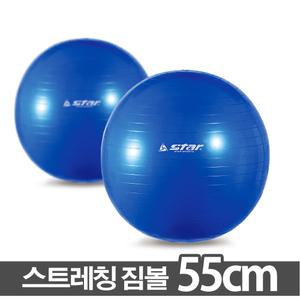 스타 짐볼 55cm 스트레칭 마사지 다이어트 요가용품 헬스용품