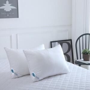 듀라라이프 베개솜 2P 코스트코 잡화마켓