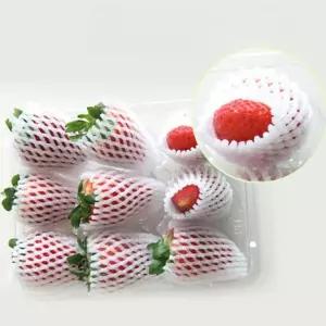 과일 난좌망 포장 네트망 커버 보호 포장재 와인 충격방지 유리병 완충재