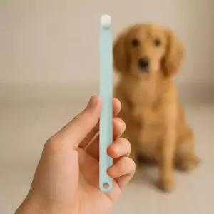 [반려] 반려동물 만모 케어 초미세 칫솔 그린 강아지 털 관리용
