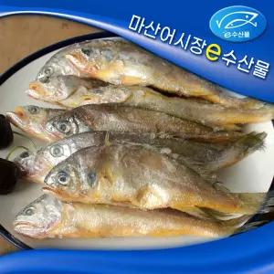 제주도 냉동참조기 15마리 국산참조기 굴비 구이 맛있는생선