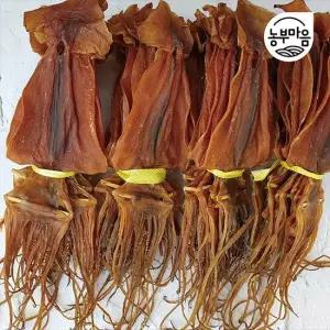 국내산 쫄쫄이 마른 오징어 중 10마리 500g