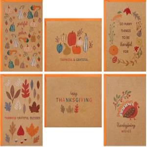 홀마크 크래프트 추수감사절 카드 모음(봉투가 있는 24장의 모듬 카드) 나뭇잎 호박 조롱박