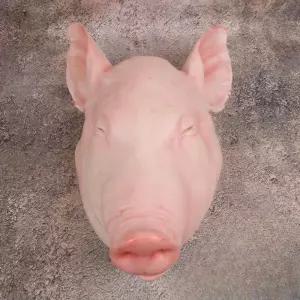 고사 제사 돼지머리 모형 인테리어 시뮬레이션 디스플레이 음식점