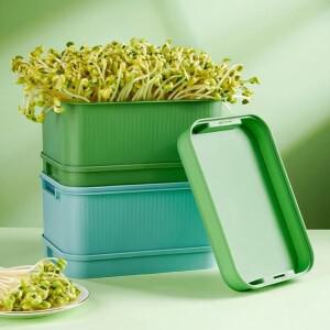 씨앗 새싹 트레이 정원 수경 땅콩 발아 상자 완두콩 콩 모종 고양이 잔디 토양없는 심기 냄비