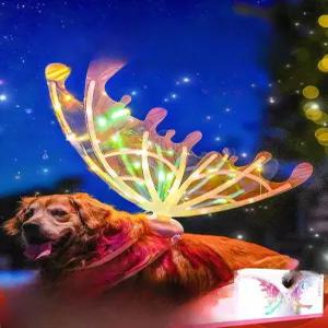 강아지전동날개 요정날개 날개 움직이는 천사 사진 코스튬 잠자리날개 나비 생일