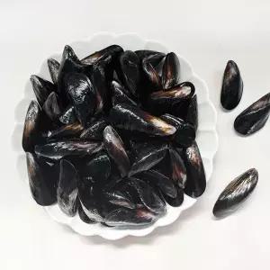 남해촌놈들 국내산 홍합 2kg