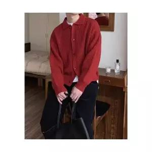 니트 캐주얼 남성용 카디건 터틀넥 얇은 칼라넥 봄가을 데일리 다올3