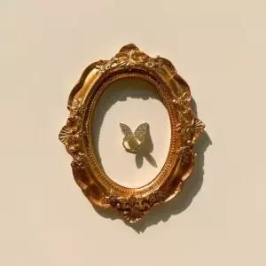 이어커프 블링 큐빅 나비 귀찌 이어커프 안뚫는귀걸이 귀찌모음