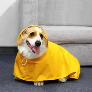[반려] 중형견 우비 올인원 방수옷 비오는 날 산책시 필수 아이템