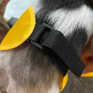 [반려] 중형견 강아지 비옷 강아지비옷 우비 중형 강아지우산