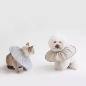 [반려] 강아지 고양이 목 보호대 애견 넥카라 반려동물 보호용 펫