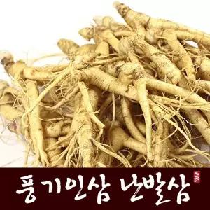 [풍기인삼] 5년근 난발삼 500g (6-7뿌리)