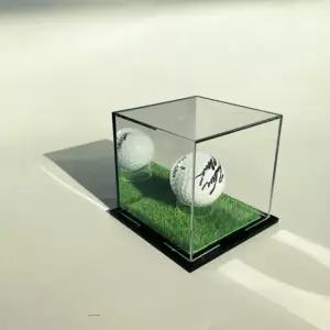 골프공 사인볼 케이스 기념볼 액자