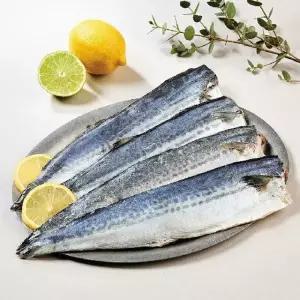 (설)여수 남해안 손질 등푸른 삼치 80g 이상 * 20팩