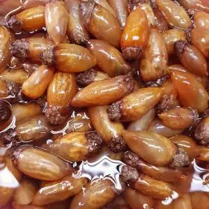 진동 미더덕 미더덕회 1kg