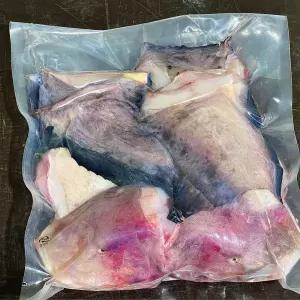 특품 생물 손질 물메기 국내산 물메기탕 물잠뱅이 물텀벙이 곰치 1.5kg