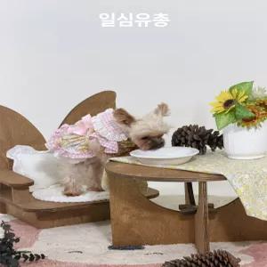 제프노 강아지 식탁의자 강아지식탁의자 펫체어