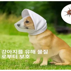 제프노 강아지페이스커버 강아지외출용품 강아지 방지