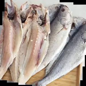 국내산건조민어 국내산 냉동 반건조 민어 8미 쫄깃한 구이용 흰살생선