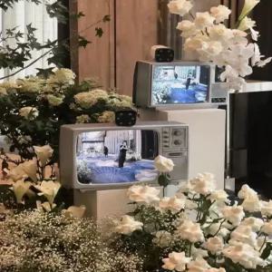 옛날 텔레비전 복고풍 레트로 빈티지 장식품 골동품 브라운관