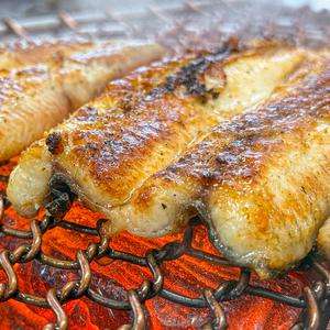 농가살리기 국내산 여수 순살바다장어 240gX3팩 (총 6마리)