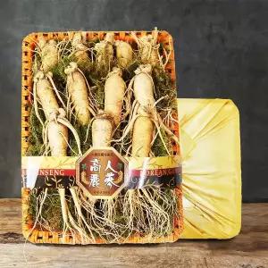 [삼촌밥먹자][금산직송] 황금농장 수삼(왕대) 2채 선물세트