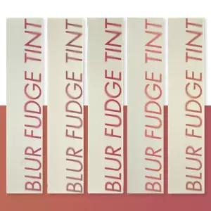 롬앤 블러 퍼지 틴트 5g 푸시아바이브 코랄쥬빌레 쿨로즈업 포멜로코 모비쉬