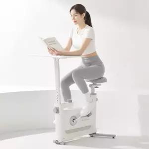 이고진 실내자전거 헬스사이클 데스크 바이크