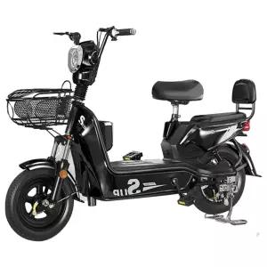 2인용전기자전거 폴딩전기자전거 경량전기자전거 여성용전기자전거 배달