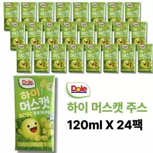 돌 하이 머스캣 주스, 120ml, 24개