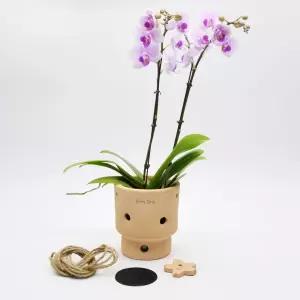 테라원 행잉 내열토 타공 수제 토분 엣지실린더 13x14cm정용품 분갈이화분 홈가드닝 식물키우기 인테리어