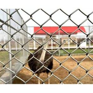 양계망 철망 울타리 닭장 8 도금 노루망 0mx0 축사 사육장 염소 휀스 농장 안전망