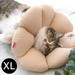 [반려] XL 애완용 넥카라 베이지