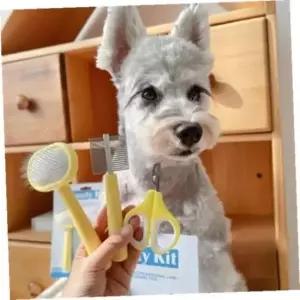 [반려] 반려동물 미용 도구 펫 브러쉬 강아지 고양이 전용