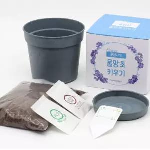 화원 키트 키우기쉬운 집에서 재배기 실내 소형 사무실 미니 만들기 [fCBF132]