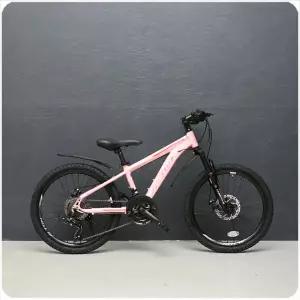 22인치 알톤 라임스톤 22D / 22인치 알루미늄 자전거 / 21단 / 디스크브레이크