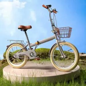 바구니 자전거 성인용 낮은 휠 접이식자전거 20인치