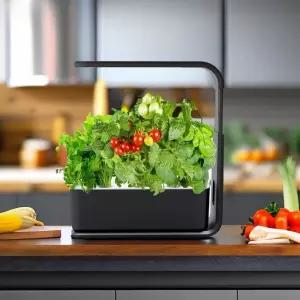 야채 재배기 스마트팜 기르기 새싹 가꾸기 텃밭 식물