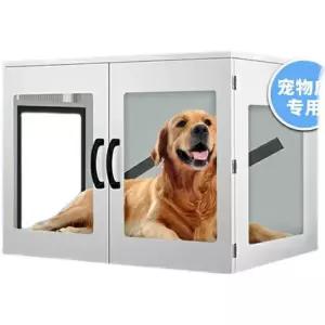 강아지 드라이룸 털말리기 대형견 반려동물 고양이