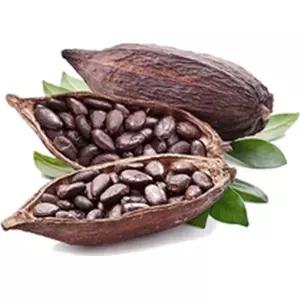 깜도리1 임산부 산후 파머스 바디 코코아 로션 관리 루미나D 315ml (1개월 사용분)