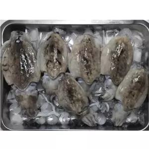 [셀러허브]서해안산 영양가득 활 갑오징어 1kg (3-6미) (S31786478)